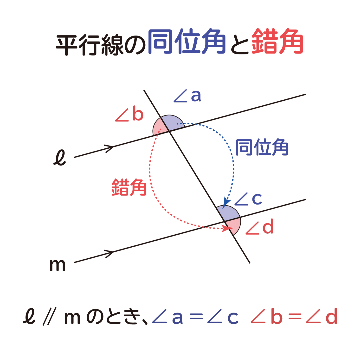 中学生の数学で出る、平行線の同位角（どういかく）と錯角（さっかく）の性質