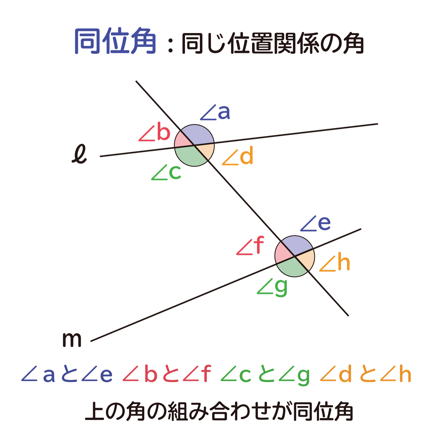 中学生の数学で出る、平行線の同位角（どういかく）と錯角（さっかく）の性質の説明図２