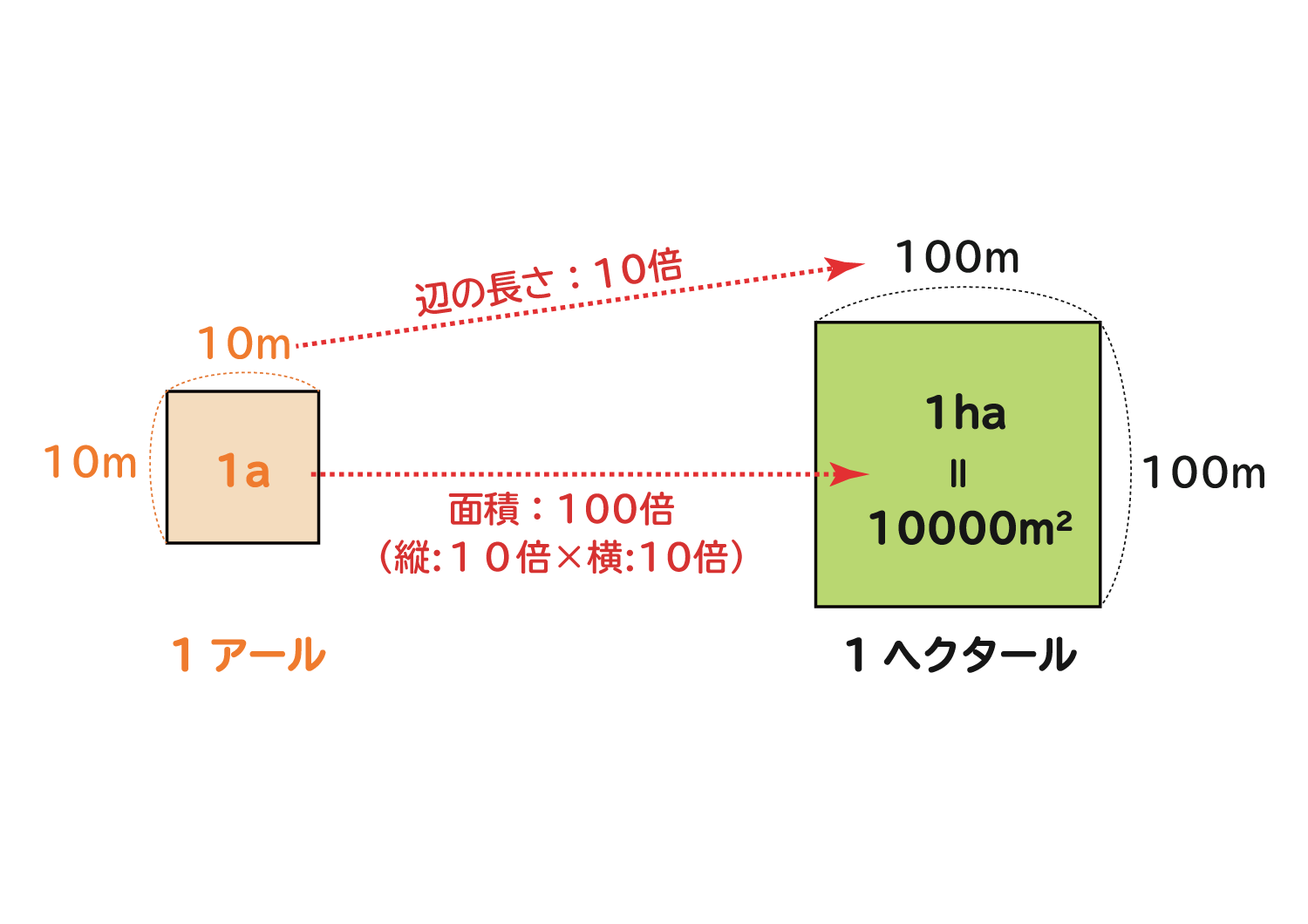 面積の単位「平方センチメートル・平方メートル・アール・ヘクタール」の関係4