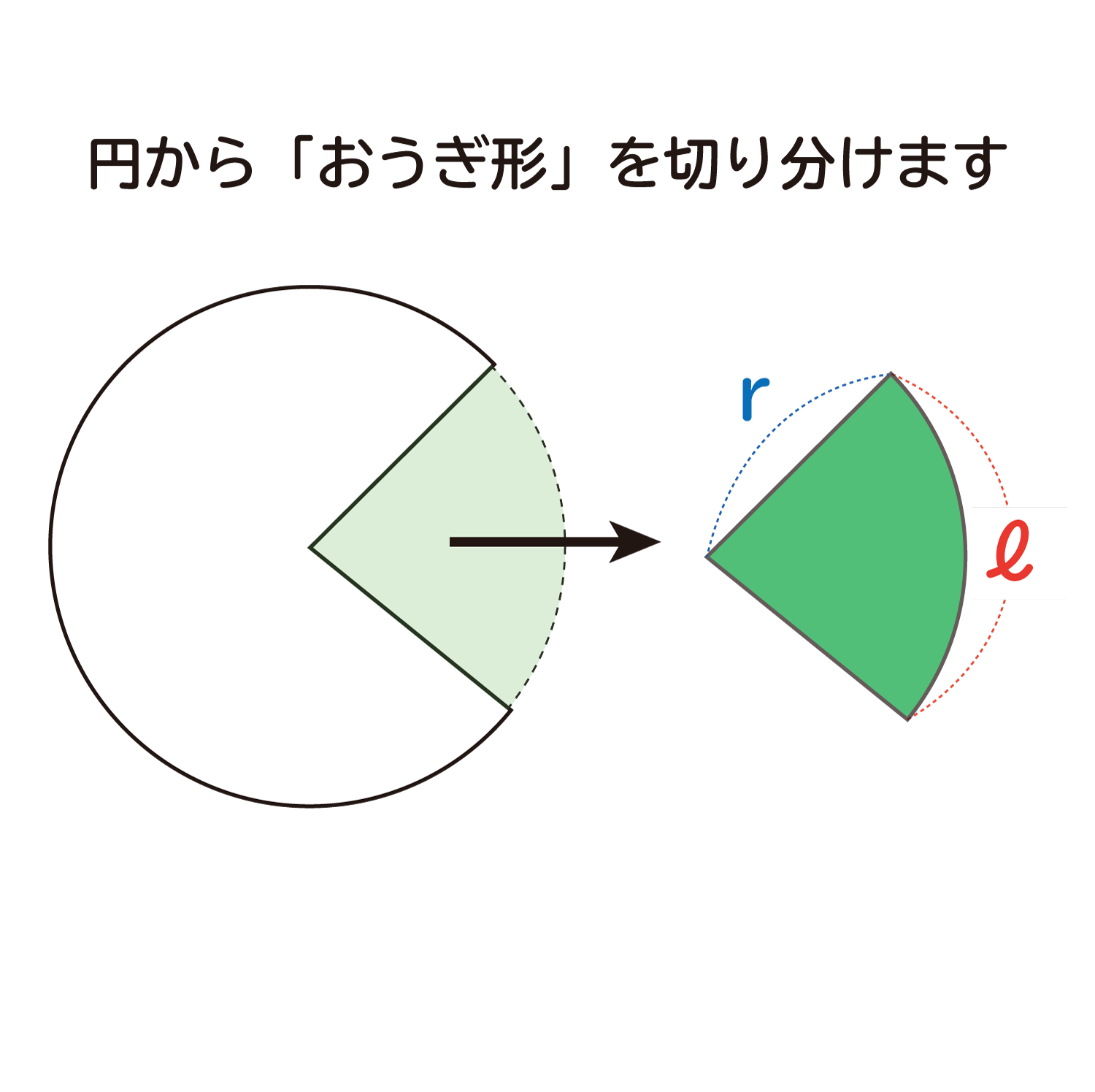 「おうぎ形の孤の長さは " ２πｒ×中心角／３６０ ”」になる説明3