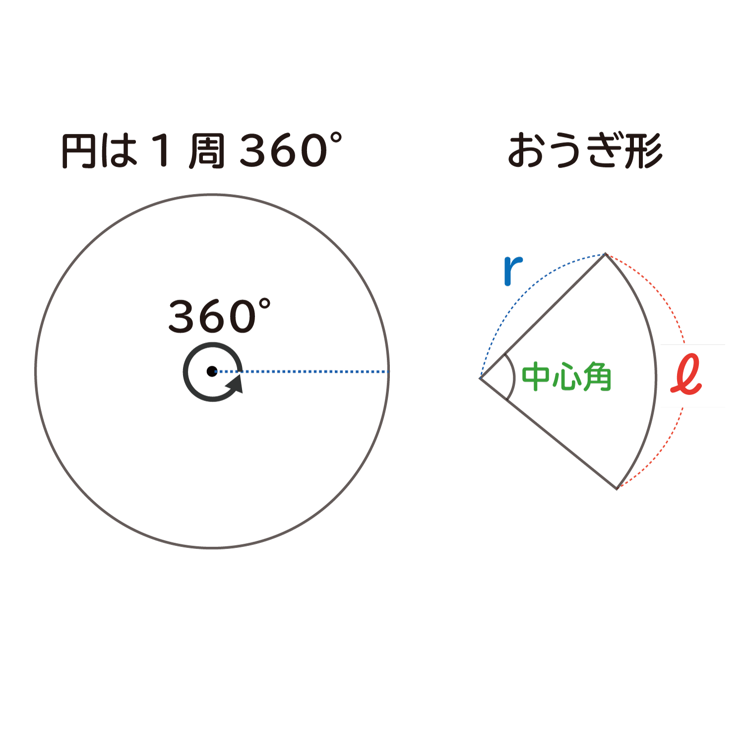 「おうぎ形の孤の長さは " ２πｒ×中心角／３６０ ”」になる説明4