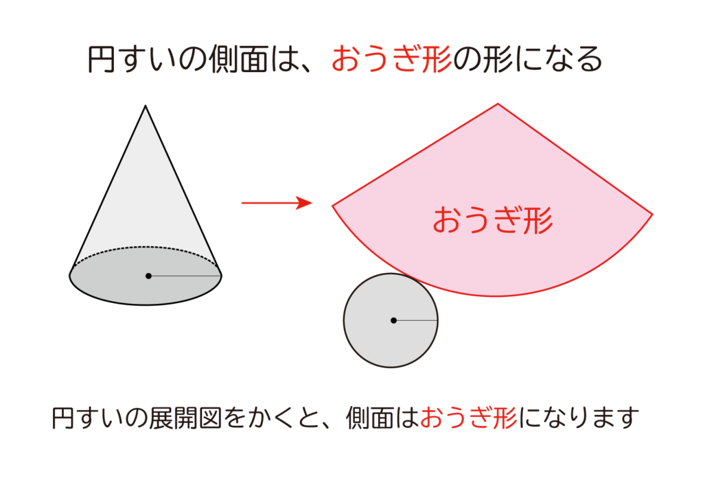 円すいの側面はおうぎ形