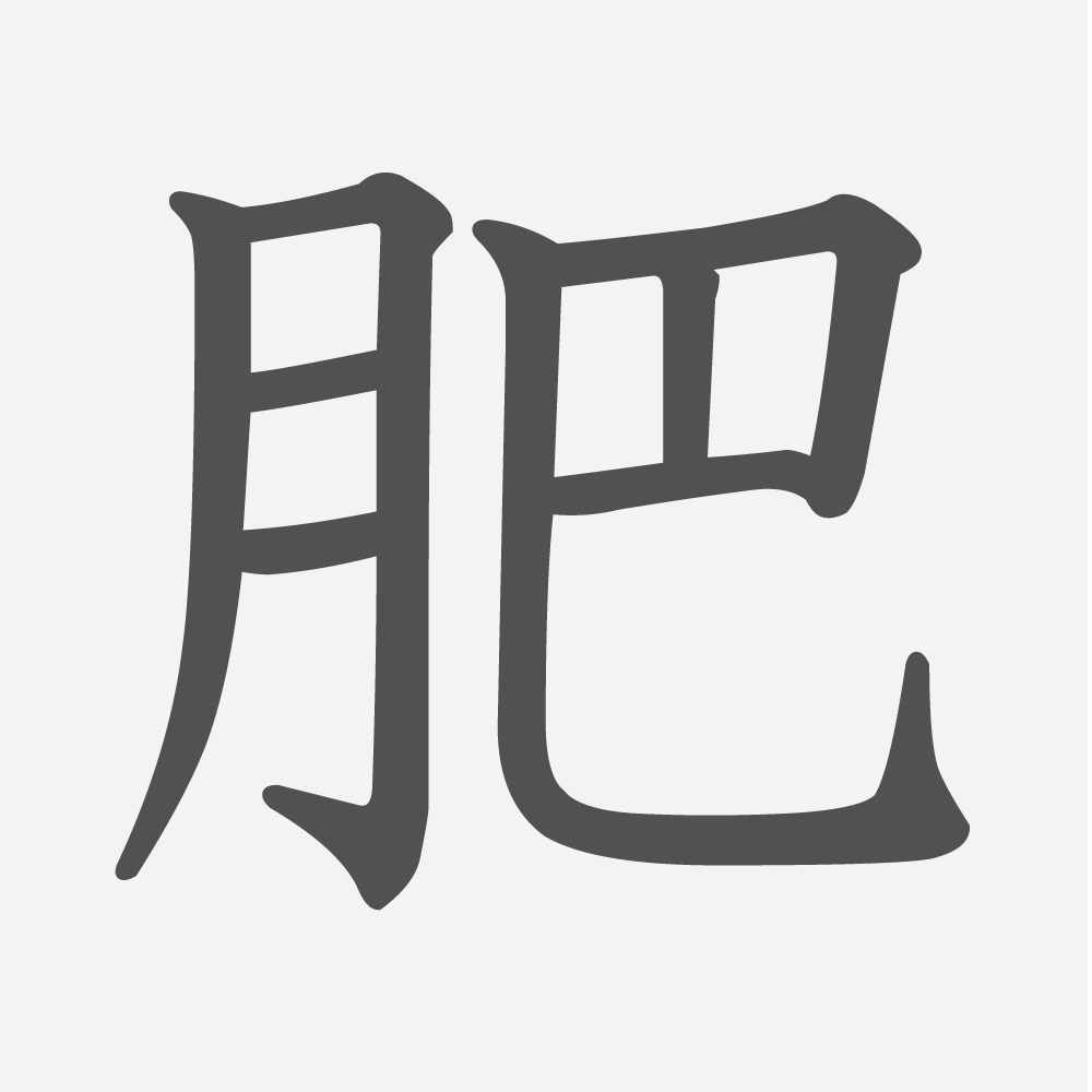 「肥」の読み方・画数・例文｜小学５年生の漢字