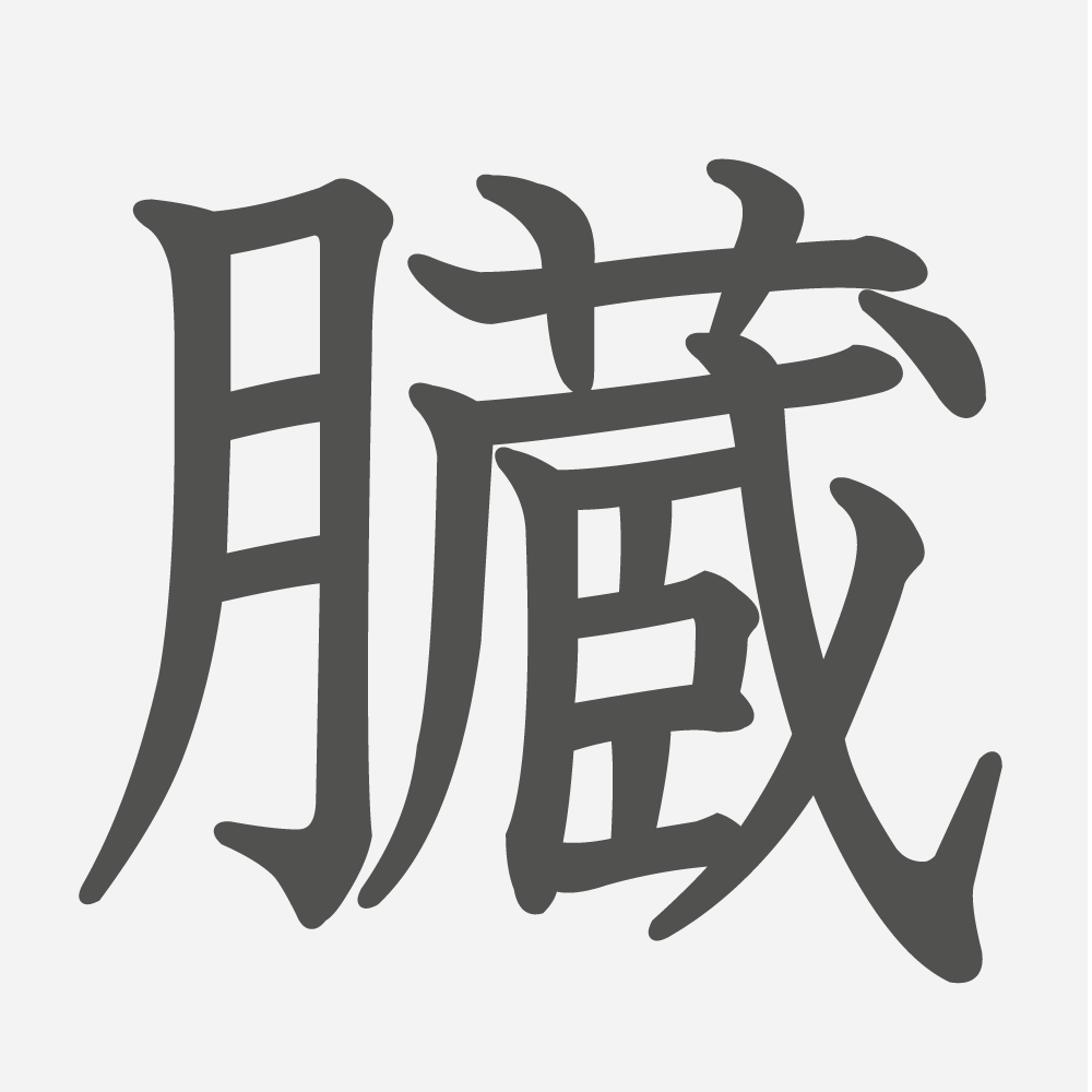 「臓」の読み方・画数・例文｜小学６年生の漢字