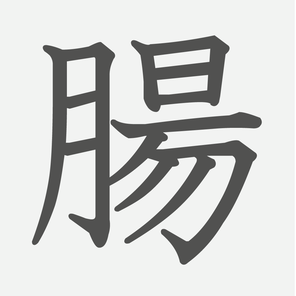 「腸」の読み方・画数・例文｜小学６年生の漢字