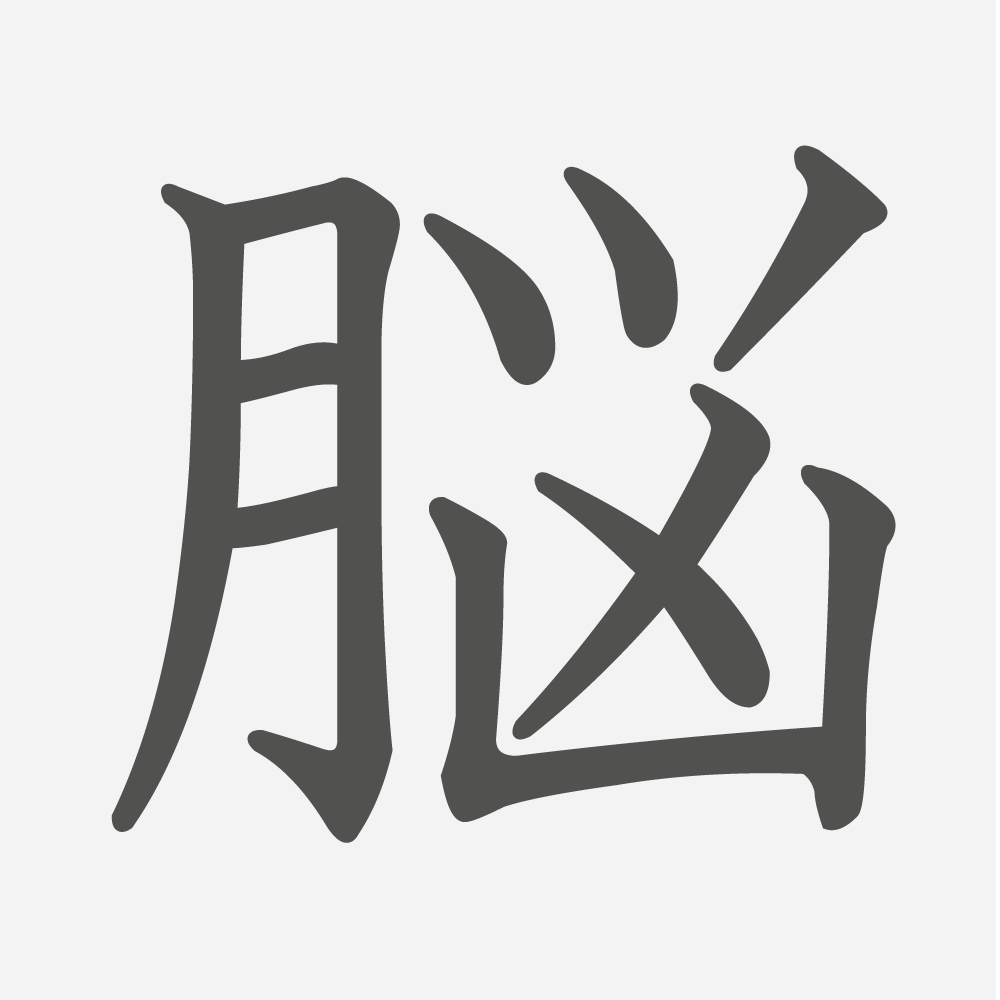 「脳」の読み方・画数・例文｜小学６年生の漢字
