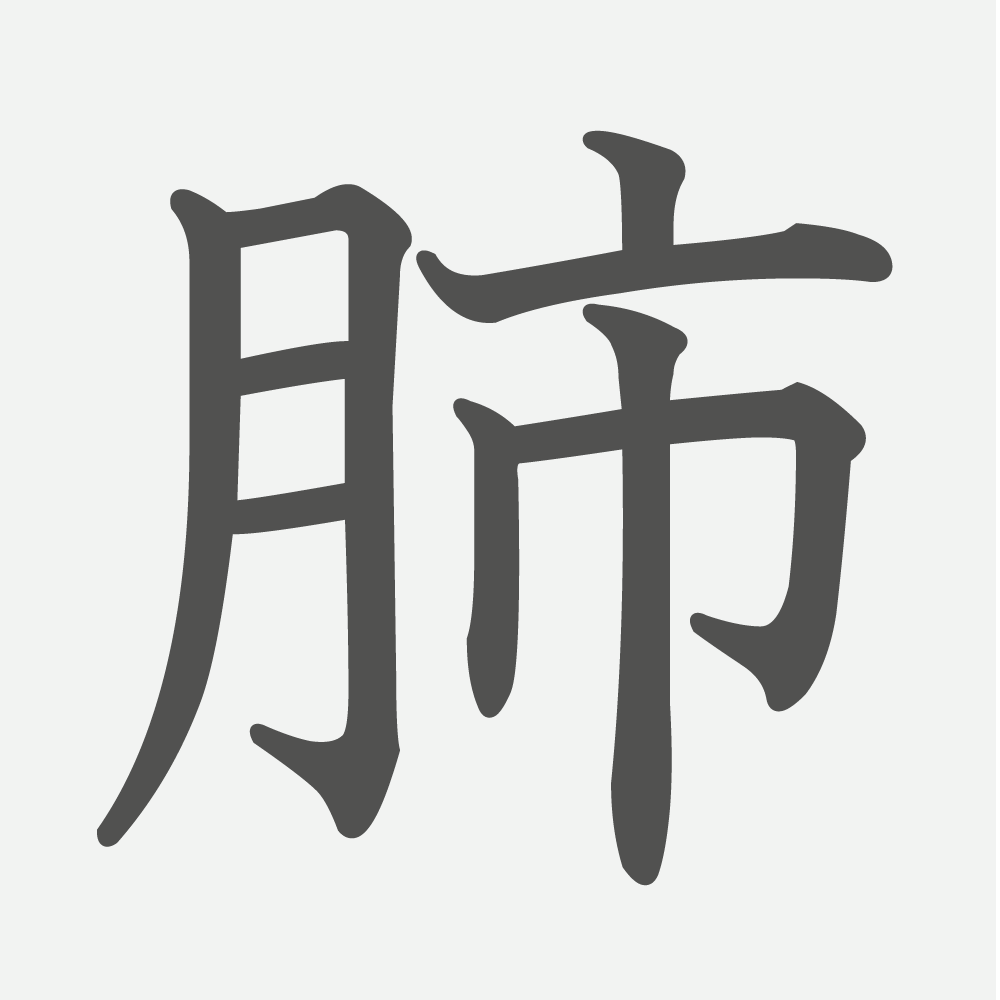「肺」の読み方・画数・例文｜小学６年生の漢字