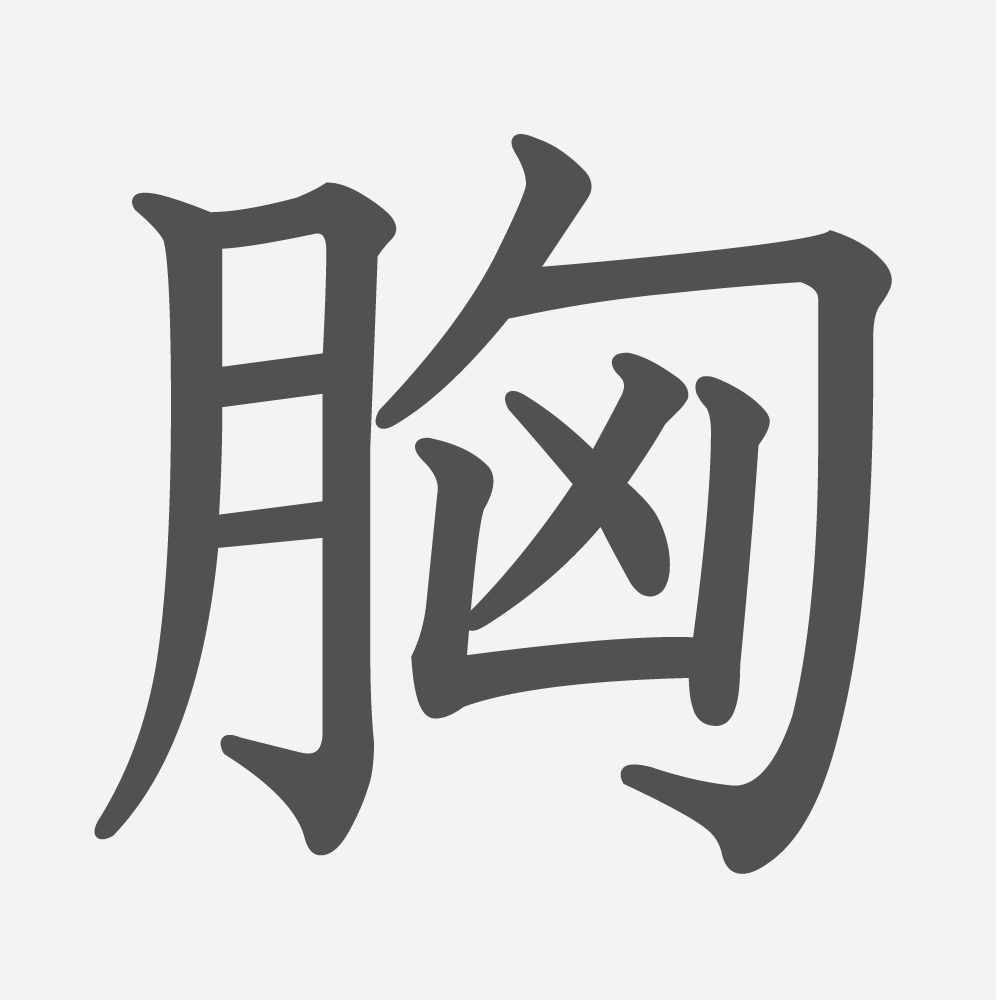 「胸」の読み方・画数・例文｜小学６年生の漢字