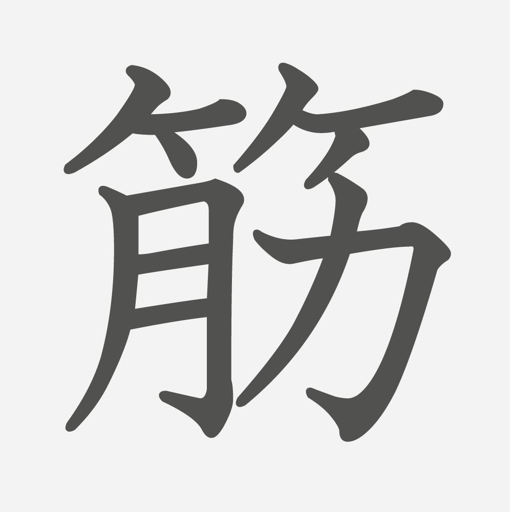 「筋」の読み方・画数・例文｜小学６年生の漢字