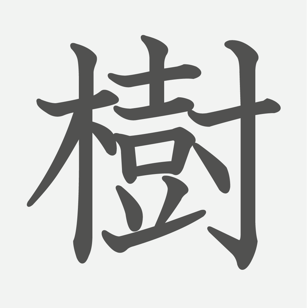 「樹」の読み方・画数・例文｜小学６年生の漢字